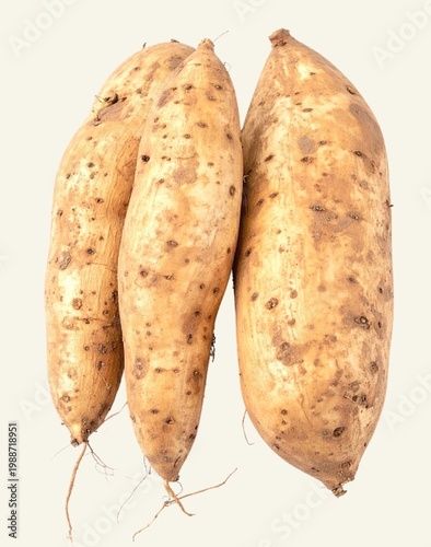 Fresh Yam Tubers Isolated on White Background, Root Crop Rich in Starch and Natural Carbohydrate Energy Concept