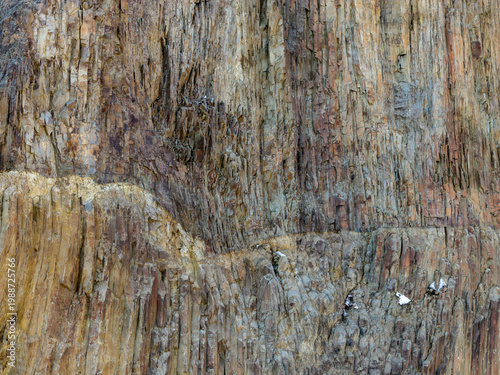 Billede på lærred Rugged Columnar Basalt Cliff Face With Striated Rock Texture in BC, Canada Coast