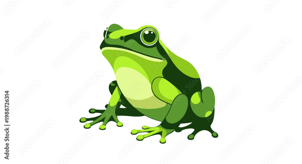 Fototapeta premium Green tree frog illustration
