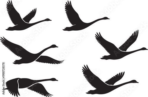 Canvas-taulu Black stork silhouettes flying with long neck and legs extended wings spread sim