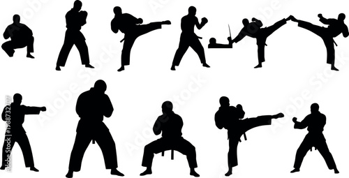 Martial Arts Fighter Silhouette Set with Dynamic Karate Kick Punch and Stance Poses in Black for Sports and Training Designs