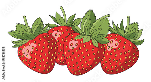 Delightful cluster of four plump red strawberries, complete with their fresh green stems and leaves, is beautifully presented as a sweet and juicy fruit.