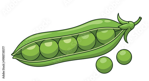 Freshly opened green pea pod is beautifully displayed with its plump peas nestled inside, accompanied by several loose peas, symbolizing healthy produce.