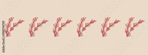 Hand drawn red line art rosemary frame. Vector illustration of organic aromatic kitchen herbs. Decorative rosemary frame in line art style.