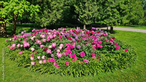 Beautiful multi-colored flowers in flowerbeds and along alleys in city park during summer season