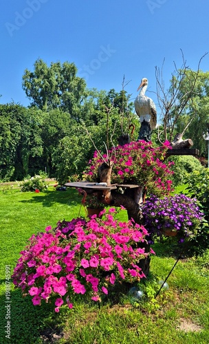 Beautiful multi-colored flowers in flowerbeds and along alleys in city park during summer season