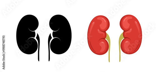 Kidney icon. Internal organ anatomy and health concept. Vector illustration for medical design or biology study.