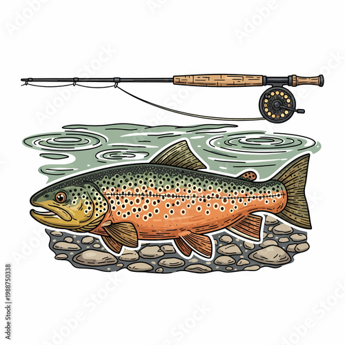 Vintage fly fishing trout illustration with rod on river stones woodcut style