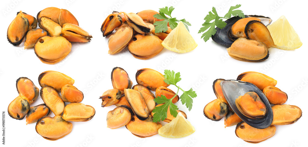Obraz premium Fresh mussels with parsley and lemon isolated on white, collage