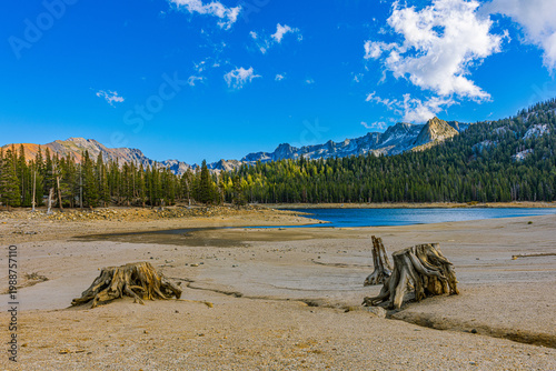 Bild auf Leinwand Scenic view of Horseshoe Lake featuring ancient tree stumps on a sandy shore with the jagged Sierra peaks under a bright blue sky