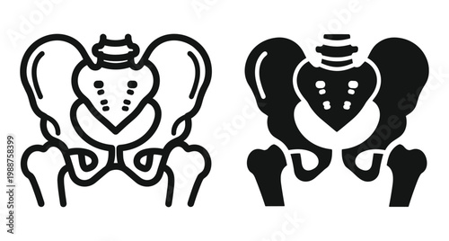Human pelvis bone anatomy icons showing skeletal structure of hip joint and sacrum in line and solid graphic vector styles