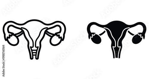 Female reproductive system icons showing uterus ovaries and fallopian tubes in outline and solid black silhouette styles for medical design