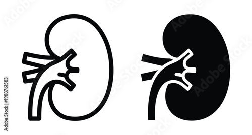 Human kidney organ icon set showing renal anatomy in outline and solid black styles for medical healthcare and scientific design