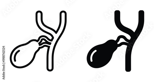 Gallbladder and bile duct medical icon set representing human digestive system anatomy for healthcare education and clinical diagnostic surgery visualization