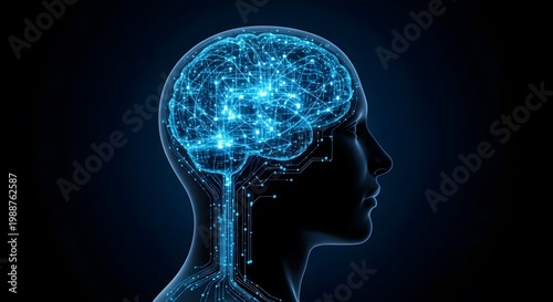 x ray image of human brain