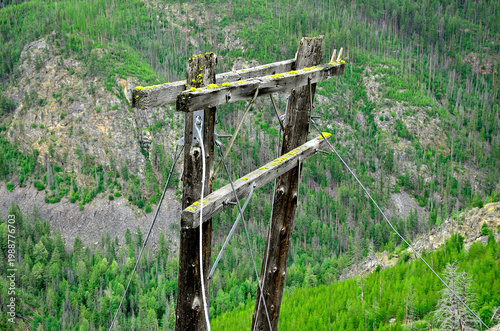 Abandoned telegraph poles in Myra Canyon, BC
