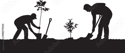 Silhouette of Two Gardeners Planting Young Trees With Shovels, Environmental Conservation and Reforestation Concept