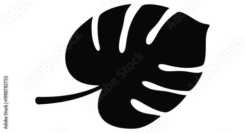 A single monstera deliciosa leaf illustration in stark black and white