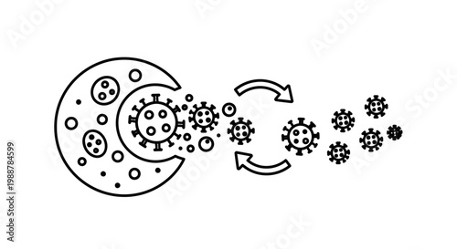 Virus replication and spread, cell infection concept