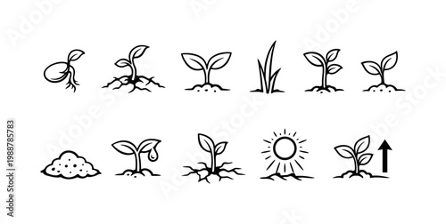 Collection of simple icons depicting plant growth stages from seed to sprout