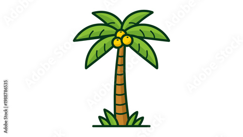 Photos Modern flat vector illustration of a tall tropical palm tree with coconuts on a white background