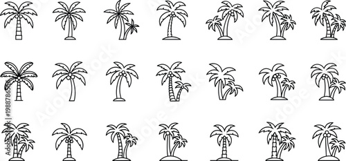 Palm trees line art set featuring different species and group compositions for tropical landscape