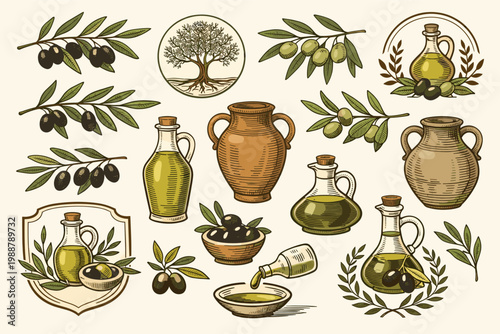 Vintage hand drawn olive tree branches with green and black olives, ceramic amphorae, glass bottles of extra virgin olive oil, and organic food logos. Rustic engraving style vector elements.
