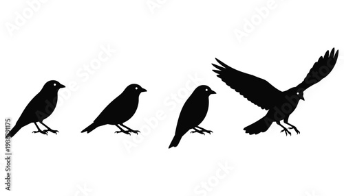 Set of minimalist bird silhouettes featuring various poses including standing and taking flight for nature logos and garden graphics