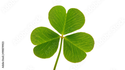 Fotografi Vibrant green shamrock leaf with detailed veins, isolated on transparent backgro