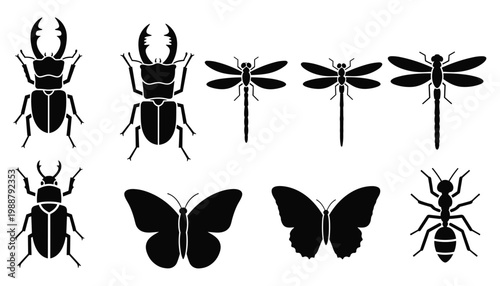 Set of minimalist insect silhouettes featuring beetles butterflies dragonflies and ants for nature logos and biology education graphics
