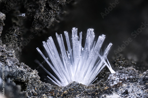 Natrolite crystals. Specimen from St-Jean-Des-ollières, Puy-de-Dôme, france. Micro photography extreme close-up. microscope mineral crystal photography for Scientific use.