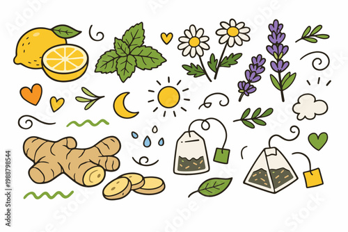 Vector hand-drawn doodle set of herbal tea ingredients and abstract symbols featuring lemon, mint, chamomile, lavender, ginger root, tea bags, sun, moon, and hearts for wellness and relaxation.
