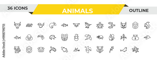 outline animals icons set - fennec fox, echidna, ape. editable vector for web and mobile ui