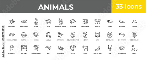 outline animals icons set - spider, big owl, sable. editable vector for web and mobile ui