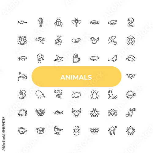 outline animals icons set - panther, kiwi bird, big bug. editable vector for web and mobile ui