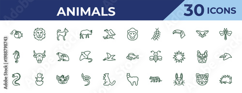 outline animals icons set - ape, seahorse, moray. editable vector for web and mobile ui