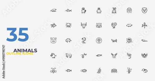 outline animals icons set - red panda, jerboa, angler. editable vector for web and mobile ui