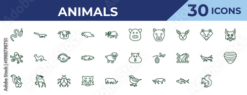 outline animals icons set - hog, aquarium octopus, skunk. editable vector for web and mobile ui