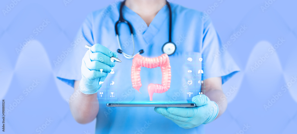 Fototapeta premium Concept of telemedicine and digital monitoring of the digestive system, early detection and screening of colon cancer. Gut health and modern medicine. Doctor using a tablet examines the colon.