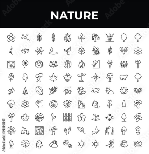 outline nature icons set - lavender, larch leaf, black ash tree. editable vector for web and mobile ui