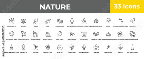 outline nature icons set - mountain pse, led bulb, red spruce tree. editable vector for web and mobile ui