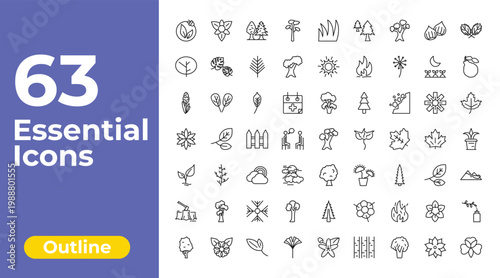 outline nature icons set - pitch pine tree, shining sun with rays, floral decorations. editable vector for web and mobile ui