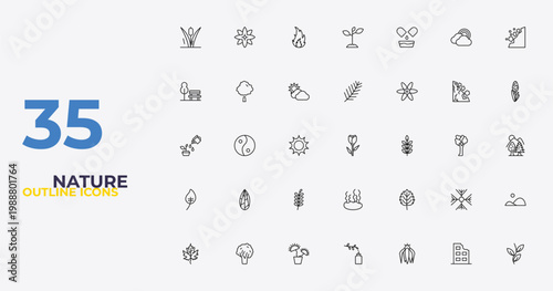 outline nature icons set - pine needle, bigtooth aspen tree, pinnation. editable vector for web and mobile ui
