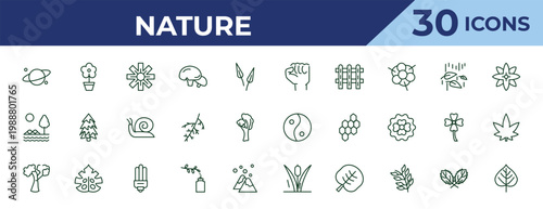outline nature icons set - determination, savannah, american beech tree. editable vector for web and mobile ui