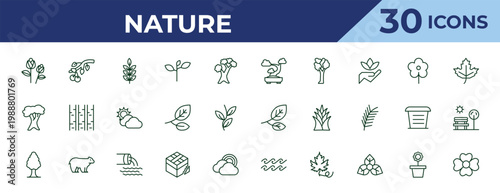 outline nature icons set - bonsai tree, white oak tree, white ash tree. editable vector for web and mobile ui