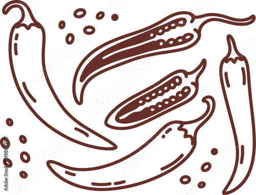 Hand-drawn brown outline of chili peppers and seeds on a white background, hot pepper spicy food ingredient