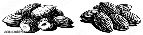 Almond Nuts Pile and Seeds, Healthy Vegan Protein Snack and Superfood Concept, Woodcut Engraving Style Illustration