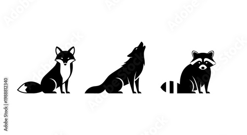 A silhouette of a fox, wolf, and raccoon on transparent background