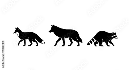 Silhouette of a fox, wolf, and raccoon walking in a line on transparent background