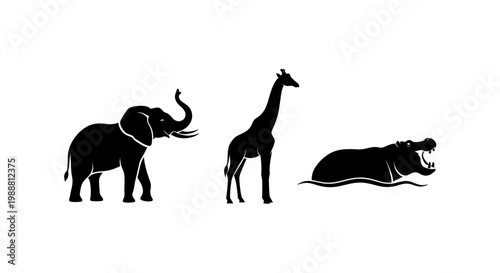 A silhouette of an elephant, giraffe, and rhinoceros on transparent background